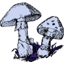 download Two Mushrooms clipart image with 180 hue color