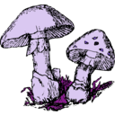 download Two Mushrooms clipart image with 225 hue color