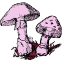 download Two Mushrooms clipart image with 270 hue color