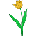 download Colored Tulip clipart image with 45 hue color