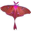 download Luna Moth Actias Luna clipart image with 270 hue color