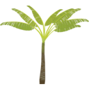 download Palm Tree clipart image with 0 hue color