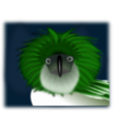 download Philippine Eagle clipart image with 90 hue color