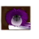 download Philippine Eagle clipart image with 270 hue color