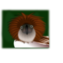 download Philippine Eagle clipart image with 0 hue color