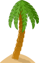 Palm Tree