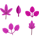 download Set Of Leaves clipart image with 225 hue color