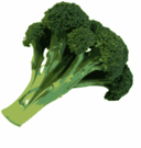 Broccoli