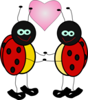 Lady Bugs