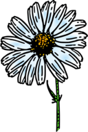 Colored Daisy 1