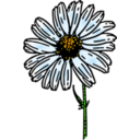 download Colored Daisy 1 clipart image with 0 hue color