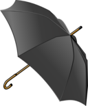 Black Umbrella