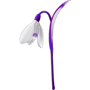 download Snowdrop Galanthus Nivalis clipart image with 180 hue color