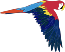 Guacamaya