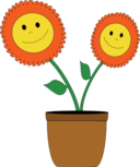 Smiley Sun Flowers