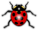 Ladybug