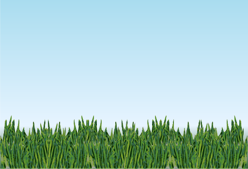 Grass Meadow Clipart I2clipart Royalty Free Public Domain Clipart