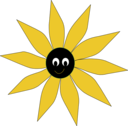 Yellow Sun Flower