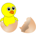 download Funny Chick Cartoon Newborn Coming Out From The Egg clipart image with 0 hue color