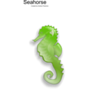 download Seahorse clipart image with 45 hue color