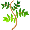download Leaves And Branches 2 clipart image with 0 hue color