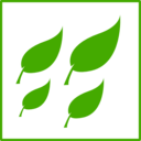 Eco Green Leaves Icon