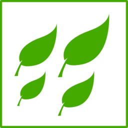 Eco Green Leaves Icon