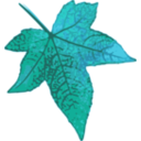 download Red Maple Leaf clipart image with 180 hue color