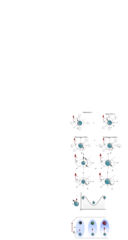 Nmr Bloch Spheres