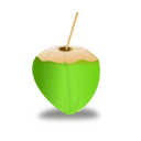 Coconut Icon