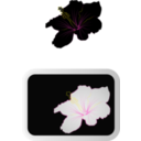 download Hibiscus 3 clipart image with 0 hue color