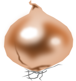 Onion Cebolla