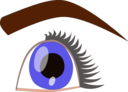 Eye