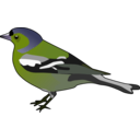 download Male Chaffinch clipart image with 45 hue color