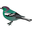 download Male Chaffinch clipart image with 135 hue color
