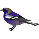 download Male Chaffinch clipart image with 225 hue color