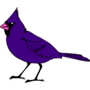 download Cardinal clipart image with 270 hue color