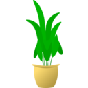 download Plant In Pot clipart image with 0 hue color