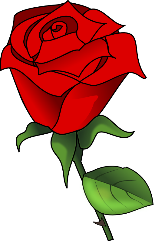 Red Rose