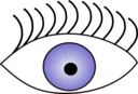 Eye