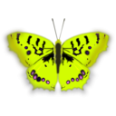 download Mariposa Pirata clipart image with 45 hue color