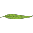 download Lanceolate Leaf clipart image with 0 hue color