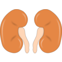 download Kidney Reins clipart image with 0 hue color