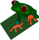 Red Eyed Frog