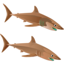 download Blue Shark clipart image with 180 hue color