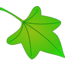download Leaf clipart image with 45 hue color