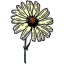 download Colored Daisy 2 clipart image with 45 hue color