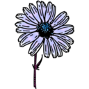download Colored Daisy 2 clipart image with 225 hue color