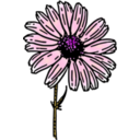 download Colored Daisy 2 clipart image with 315 hue color