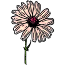 download Colored Daisy 2 clipart image with 0 hue color